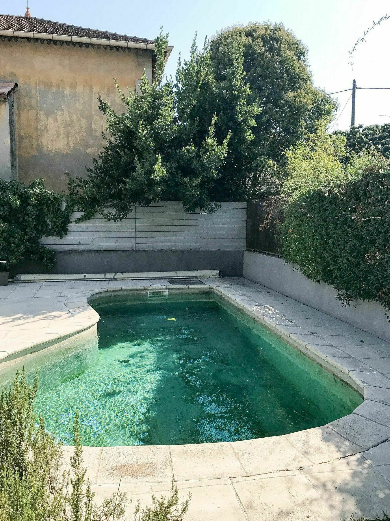 Palmeira, Piscine - Parking - Clim Arles Luaran gambar