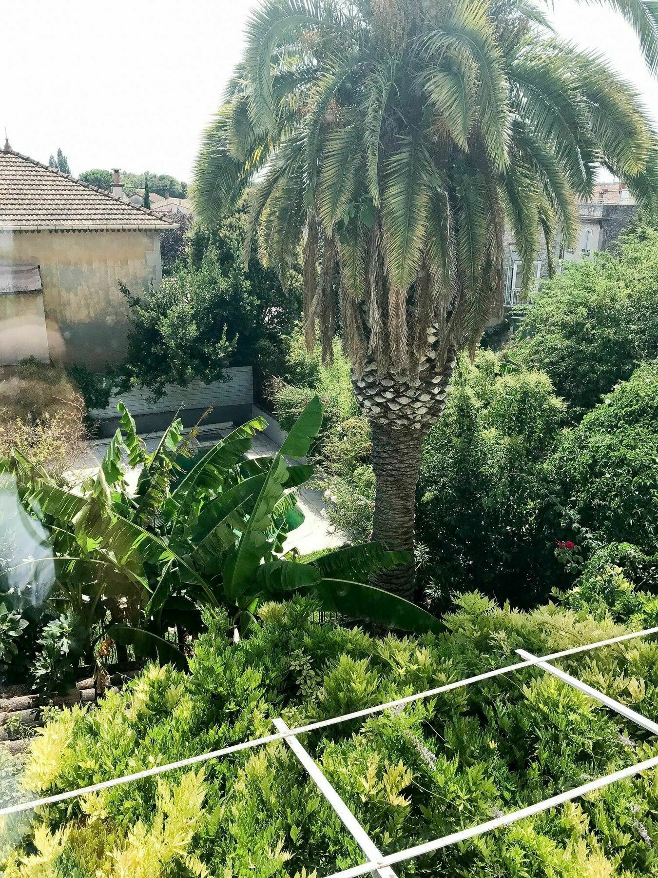 Palmeira, Piscine - Parking - Clim Arles Luaran gambar